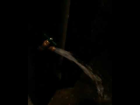 Not Dracula - Fuck the Fucking Government