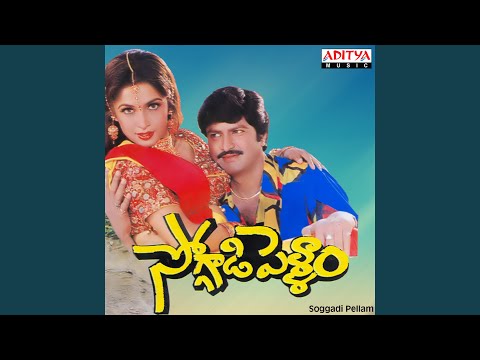 Takkari — watch video