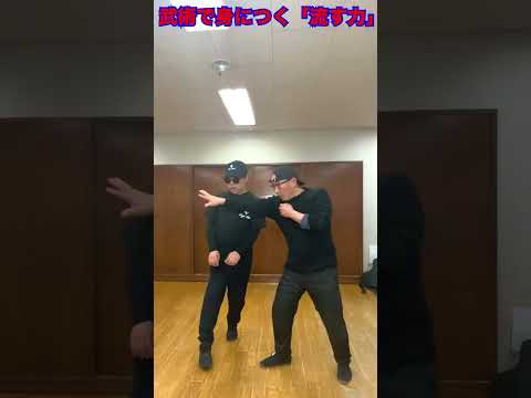 武術で身につく「流す力」　#武術 #太極拳  #護身術   50代 ♯60代  #転倒防止  #体幹