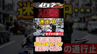 「何してるの？」ツーリング中に冷ややかな視線を浴びた理由 #モトブログ #バイク #ツーリング #京都 #イクネンティービー  #バイクライフ #アクションカム #ツーリングスポット