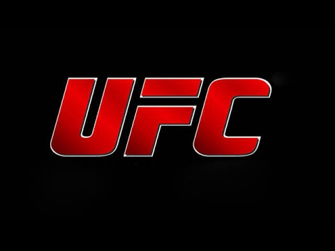 UFC 211 - Stipe Miočić Vs. Junior dos Santos