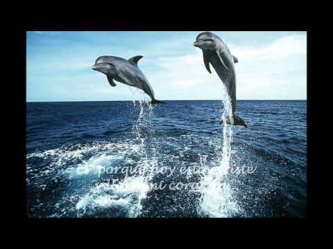 El Delfin - Azul Richard Clayderman