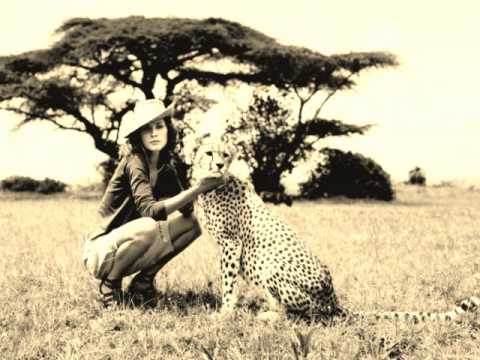 Gotye Vs. Third Party - Militia That I Used To Know (Alfonso Amaral Mashup)