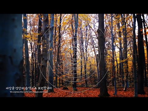 [아판뮤직] Morning_신정훈(Shin Jeong Hun)