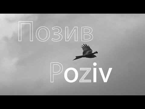 Kimi - Poziv