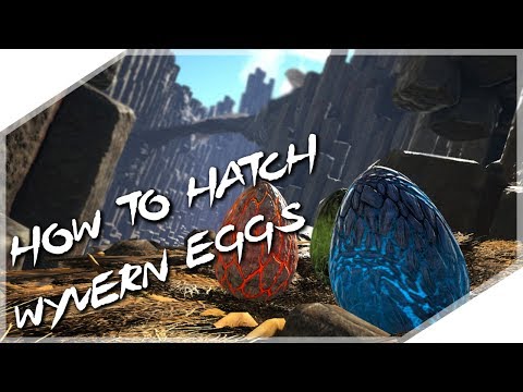 HOW TO HATCH WYVERN EGGS EASILY!!! - ARK: Survival...