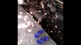 My Friend's Freakout Part. 1