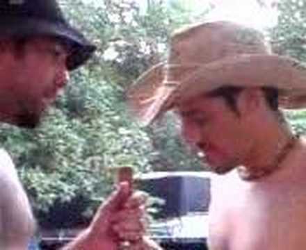 Carniça;ruaro e gilliard no alagado