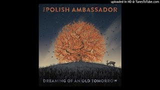 Never Coming Down ft Pharroh - Dreaming of an Old Tomorrow - The Polish Ambassador