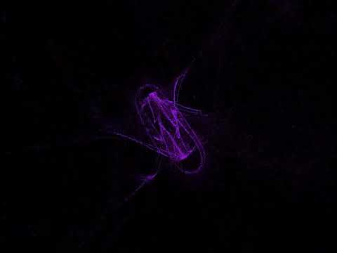 Max/MSP Jitter Audio Reactive Particles