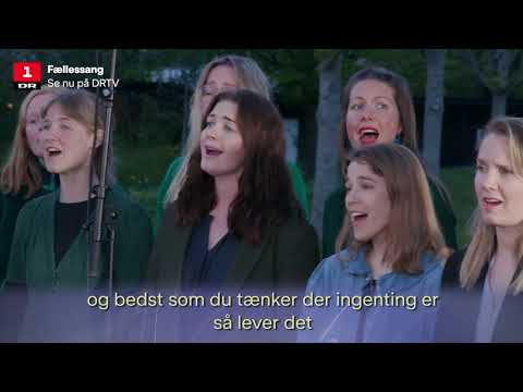 Du spør mig om håbet / DR Fællessang
