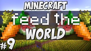 Feed The World - #9 Honey Power