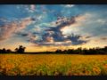 The Chris Stamey Experience  - The Summer Sun