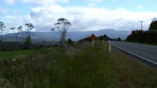 preview picture of video 'North island nature, New Zealand'