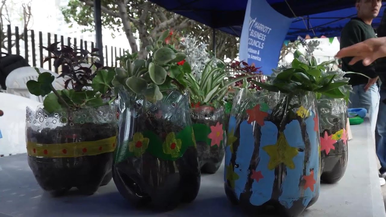 Peruanos realizan actividad de concientización por el Día Mundial del Medio Ambiente