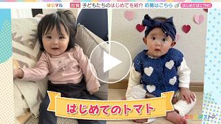 動画のサムネイル