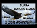 ReNew-SUARA MASTER BURUNG ELANG || Eagle And Its Distinctive Voice || #Eagle #Elang #EagleVoice