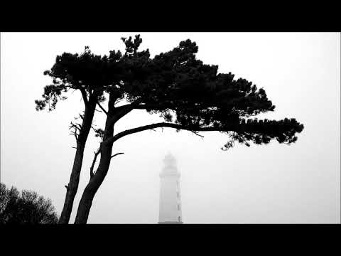 Adrian Iorgulescu (*1951): String quartet no. 2 (1983)