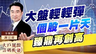 大盤輕輕彈 個股一片天 臻鼎再創高｜大戶羅盤籌碼動能 ｜謝宗霖
