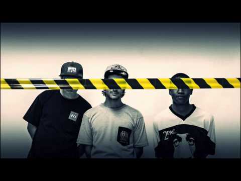 Expresso M.A.F.U - Linhas