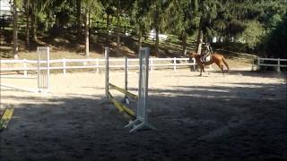 Video of Sarastro TW