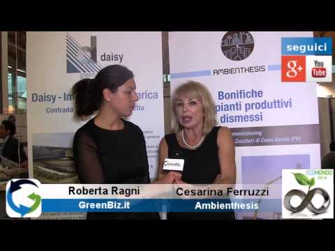 Bonifiche siti contaminati: come rilanciare il settore - Cesarina Ferruzzi - Ambienthesis
