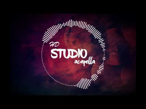 Doja Cat - Kiss Me More (Studio Acapella) ft. SZA | Voice Only | HD Studio Acapella