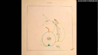 FRED FRITH Alienated Industrial Seagulls (solo guitar - 1978)