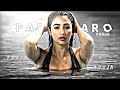NEJ Paro X Pooja Hegde Status Efx Whatsapp Status Pooja Hegde Status Paro Song Audio Edit