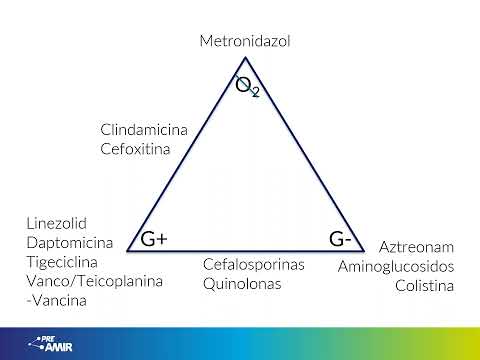 Vídeopildoras PreAMIR | Antibióticos