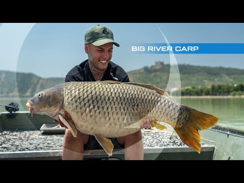 Carp Fishing in Spain | Big River Carp | Erik Torres and Matt Eaton