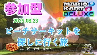 【参加型】ピチサを探す旅2025.08.23【マリオカート8DX】