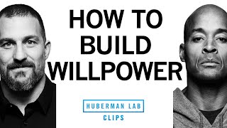How_to_Build_Willpower_|_David_Goggins_&_Dr._Andrew_Huberman
