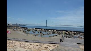 明石にある公園　大蔵海岸公園