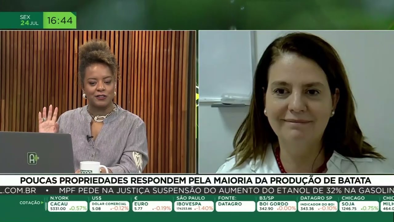Poucas propriedades respondem pela maioria da produção nacional de batata