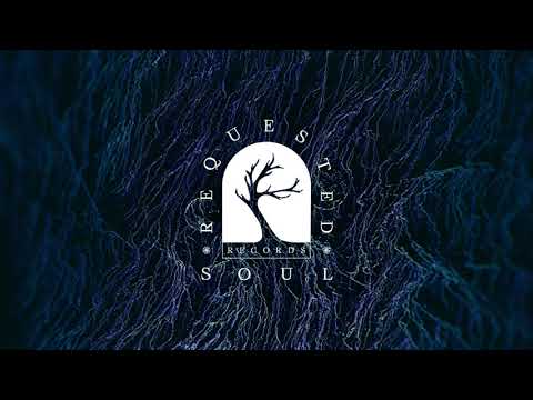 Idem Nevi - Anam (Original Mix)