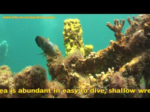 Diving in Barbados, Barbados