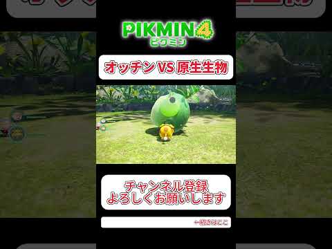 #ピクミン4 オッチン VS びっくり菊