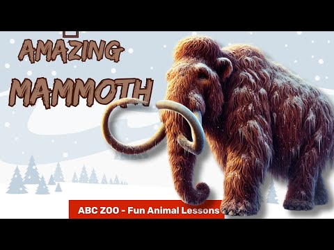 Woolly Mammoth for Kids | Explore the Amazing World of Mammoths! | ABC ZOO Fun Animal Lessons