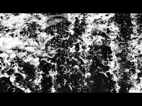 mouse on the keys - leviathan