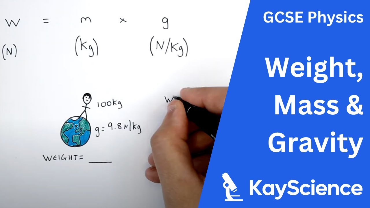 GCSE Physics – Calculating Weight: Mass × Gravitational Field Strength