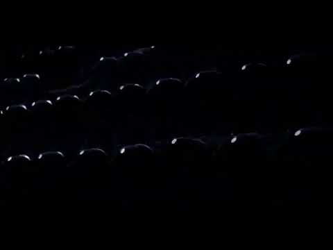 Sua Praia esporte - 21/07