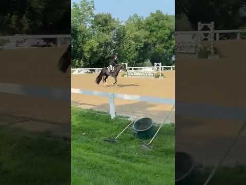 Boca's Rockette video 2