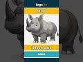 rhino - rinoceronte video thumbnail