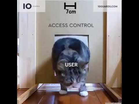 download lagu mp3 mp4 Cat Security, download lagu Cat Security gratis, unduh video klip Cat Security