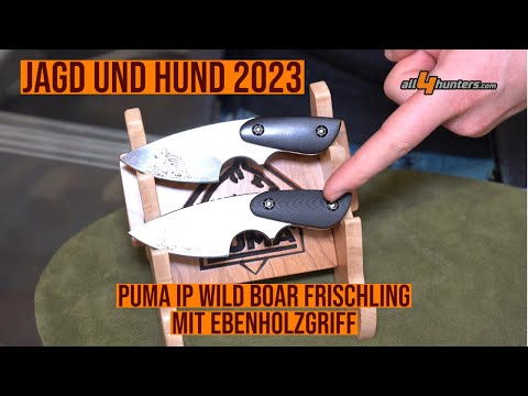 Das 🔪🔪🔪 PUMA IP wild boar Frischling mit Ebenholzgriff, ein Neck-Knife auf der Jagd und Hund 2023