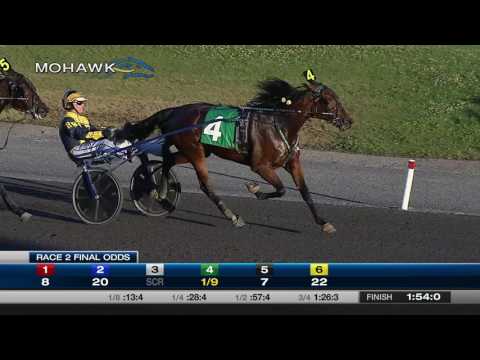 July 16, 2016, Race 02, OSS Gold Leg, 3FT, Mohawk Racetrack