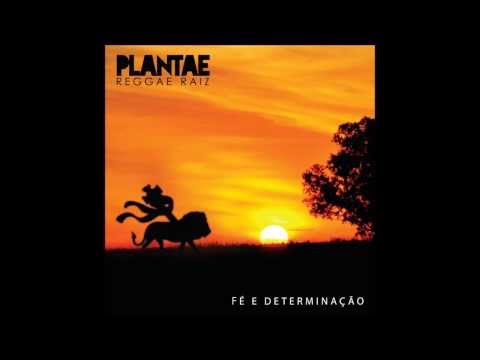 DECLARAÇÃO - BANDA  PLANTAE