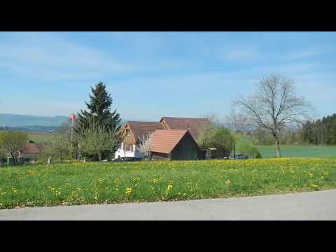 Suiça "Porque os Suiços não têm Casa Propria? minha vila:)