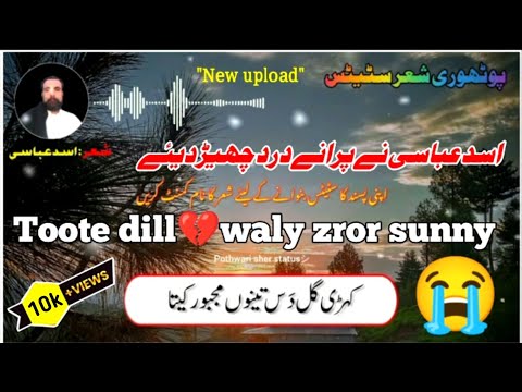 Asad abbasi pothwari sher | Kehri gal das tenu majbor kita #Asadabbasi #Whatsappstatus #Pothwarisher